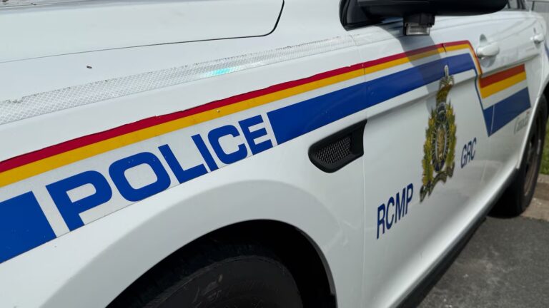 Hampton man charged with human trafficking-related offences: N.B. RCMP